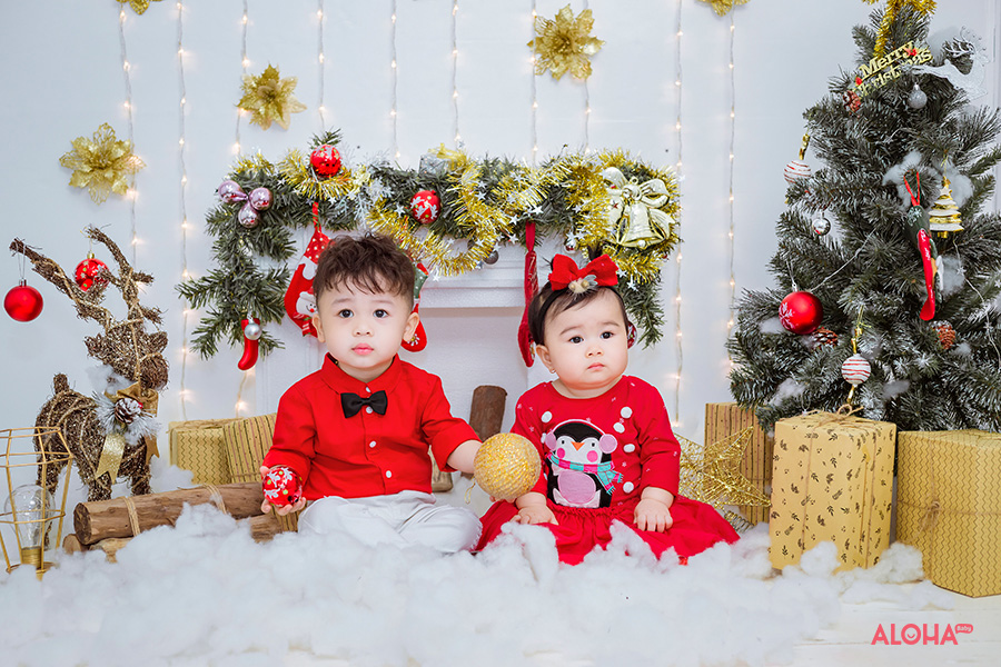 album ảnh giáng sinh đẹp lung linh